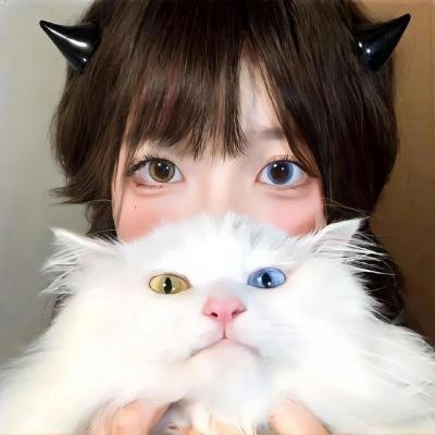 轻音少女第二季